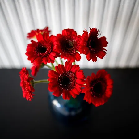 דירה Easy Rent- Wieniawska 4, Centrum, Free Parking