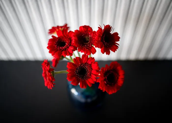 Апартаменты Easy Rent- Wieniawska 4, Centrum, Free Parking